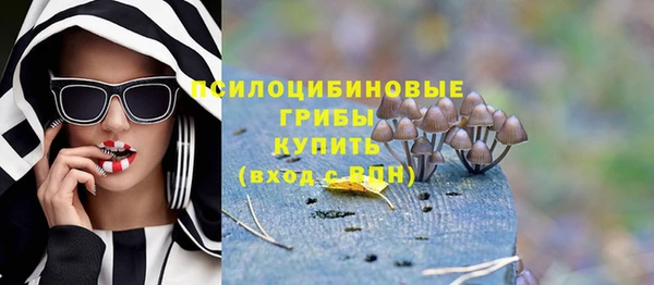 тгк Алексин