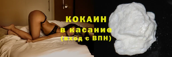 индика Алексеевка